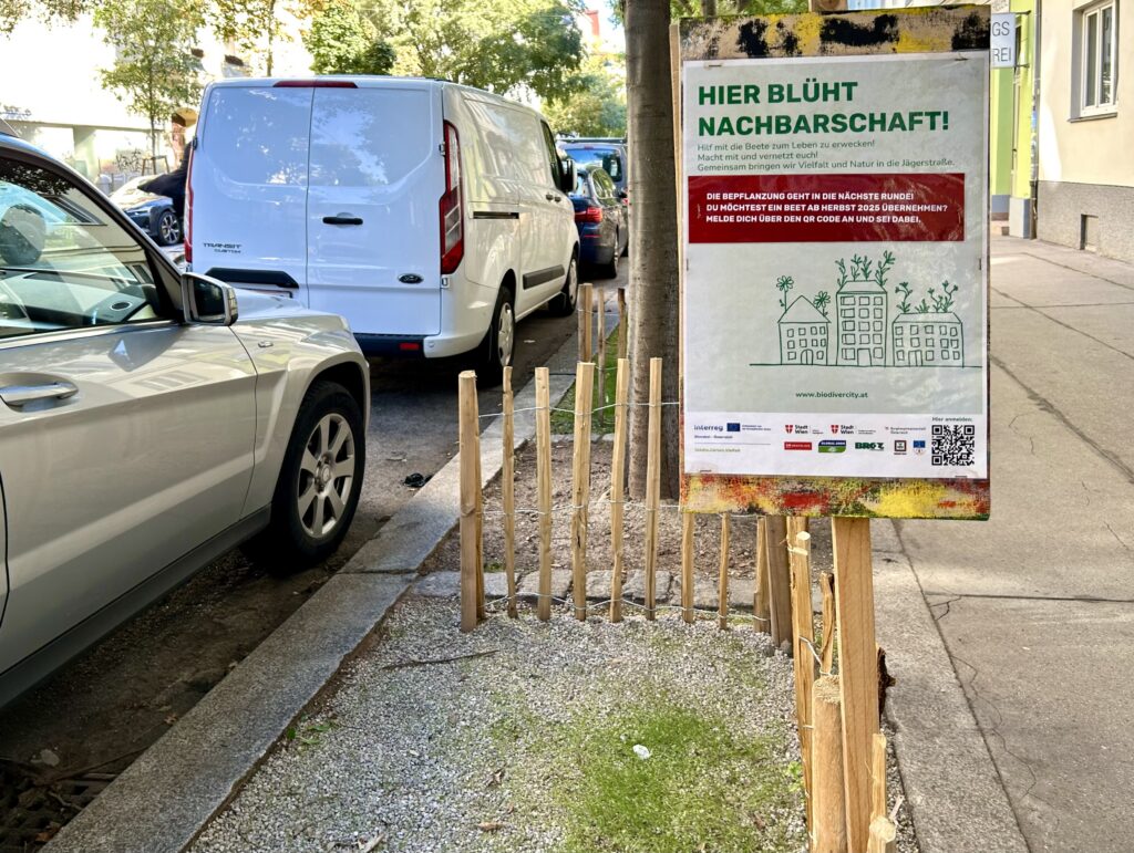 Ein wenig gelungener Beitrag zur Biodiversität: Die Beete in der Jägerstraße